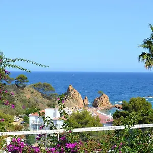 https://blanca-paloma-holiday-house.catalonia-hotels.com